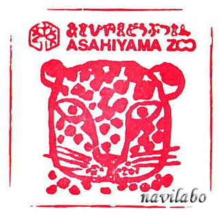 旭山動物園